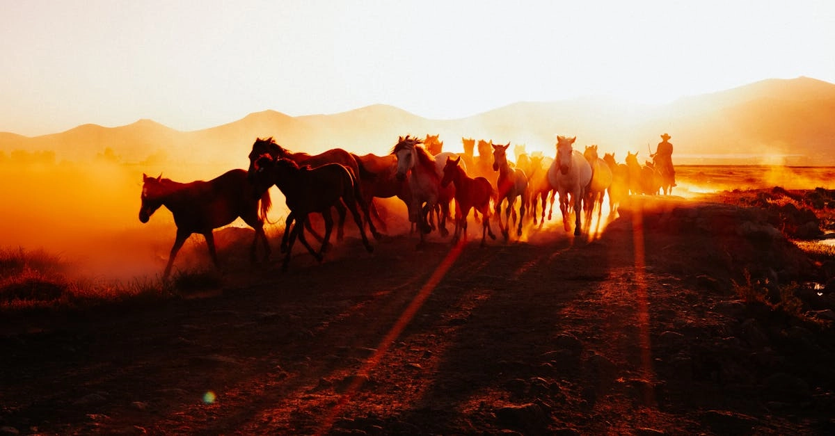 Золотые мустанги скачут по прериям - символ исполнения мечтаний
